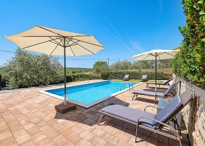 Gale * 스베티 페타르