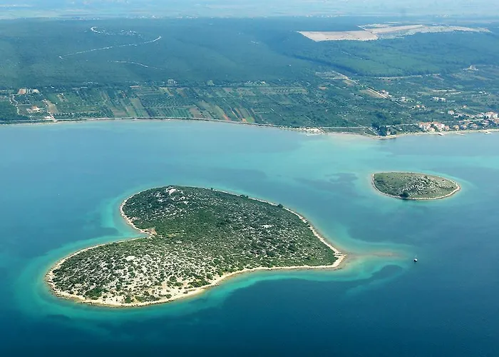 Gale 펜션 스베티 페타르